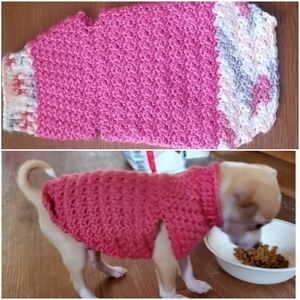 Teacup dog sweater handmade